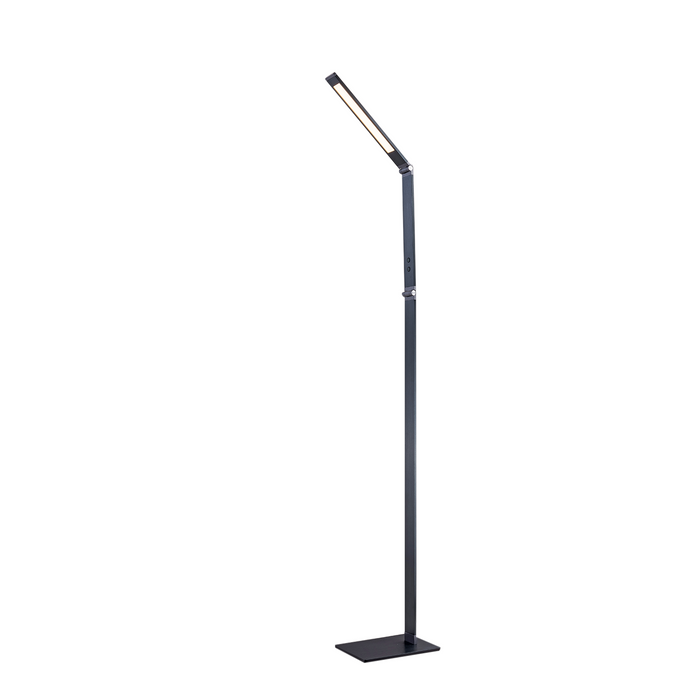 Regal Lighting Marinette LED Floor Lamp, Graphite • SLB1052