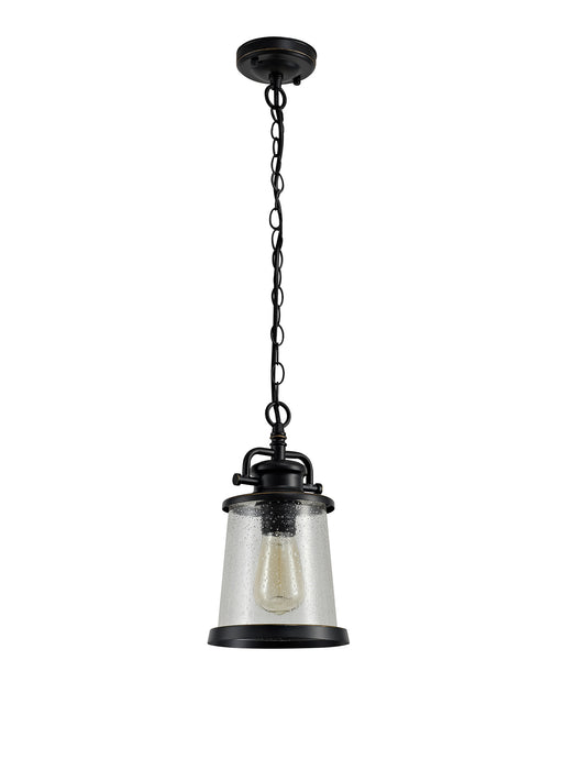 Regal Lighting SL-2100 1 Light Outdoor Ceiling Pendant Black And Gold With Clear Seeded Glass IP54