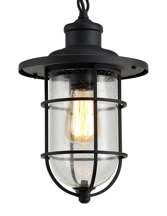 Regal Lighting SL-1988 1 Light Outdoor Ceiling Pendant Black And Gold With Seeded Glass IP54