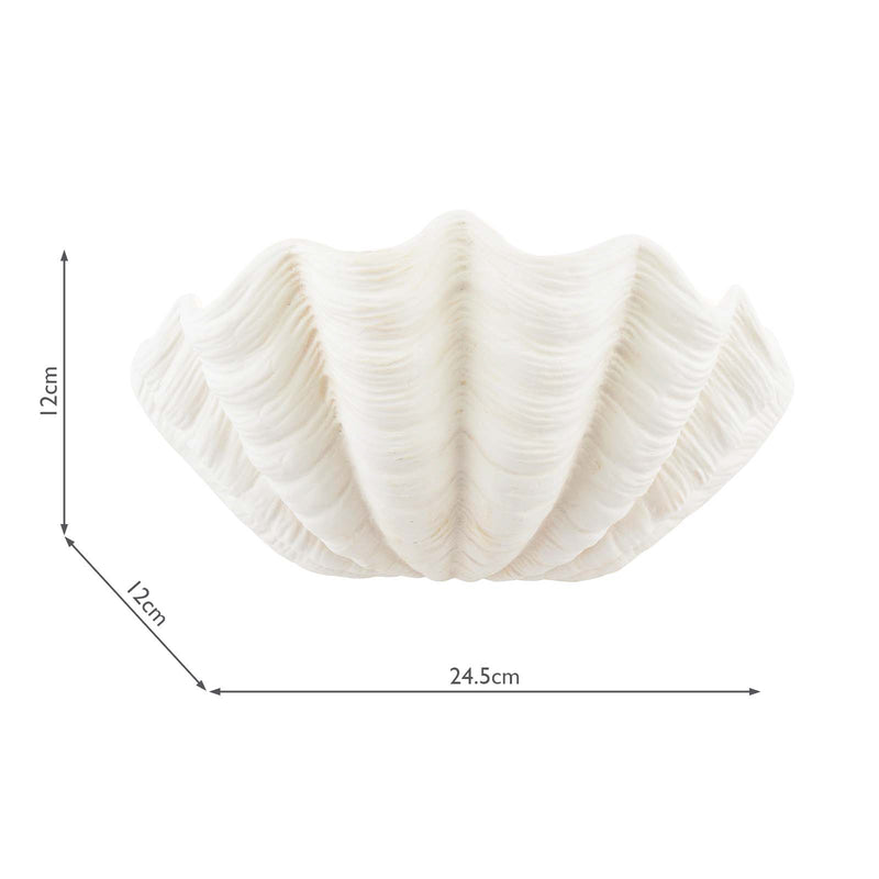 Laura Ashley Shell Wall Washer White Ceramic • LA3756703-Q