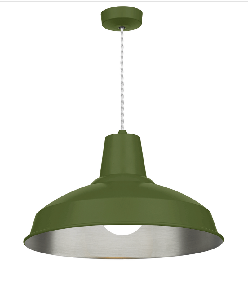 David Hunt Lighting Reclamation 1 Light Juniper Green/Brushed Chrome Pendant • REC0199