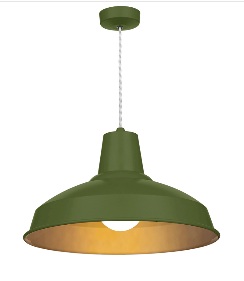 David Hunt Lighting Reclamation 1 Light Juniper Green/Antique Brass Pendant • REC0199