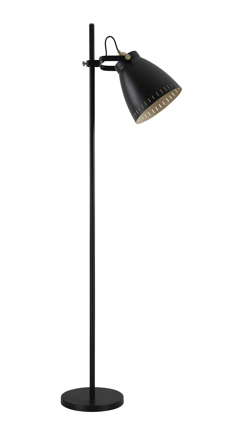 Regal Lighting SL-1733 1 Light Floor Lamp Matt Black And Antique Brass