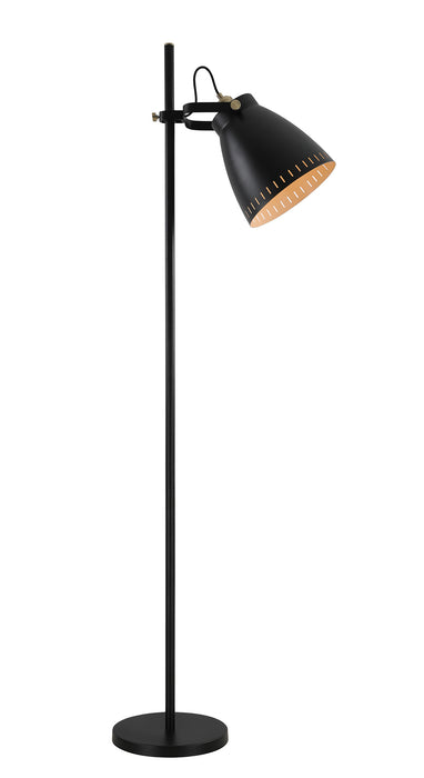 Regal Lighting SL-1733 1 Light Floor Lamp Matt Black And Antique Brass