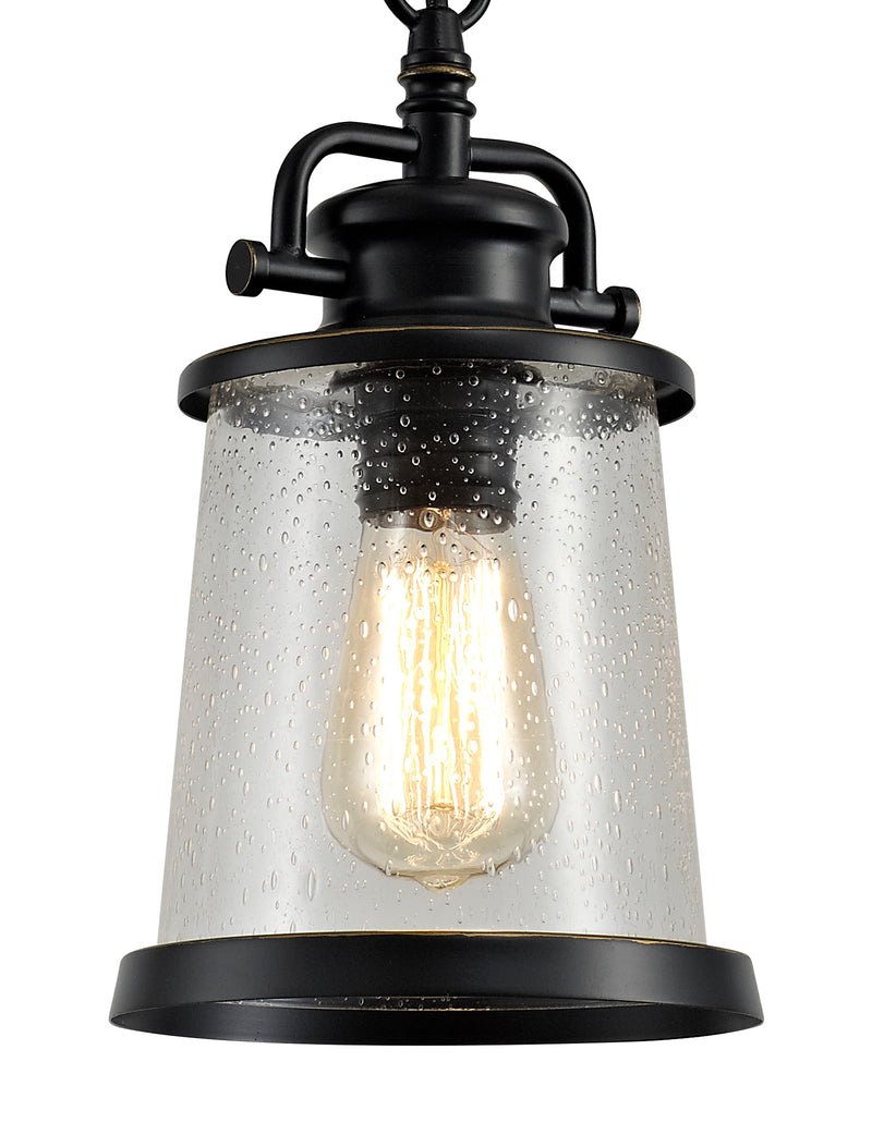 Regal Lighting SL-2100 1 Light Outdoor Ceiling Pendant Black And Gold With Clear Seeded Glass IP54