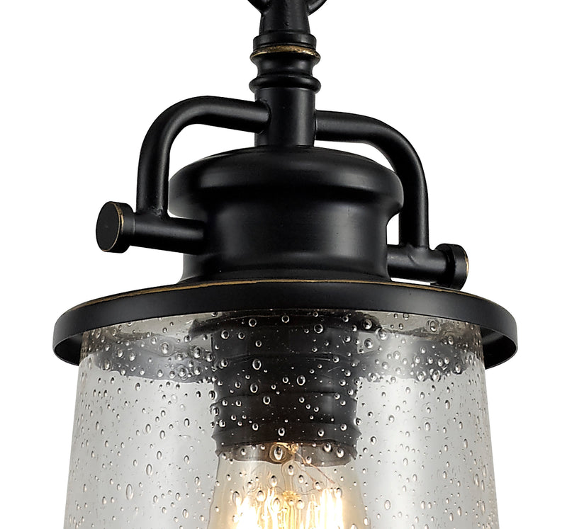 Regal Lighting SL-2100 1 Light Outdoor Ceiling Pendant Black And Gold With Clear Seeded Glass IP54