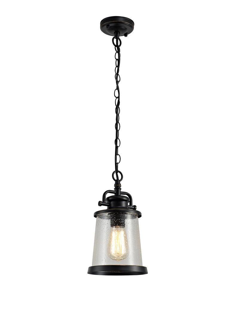 Regal Lighting SL-2100 1 Light Outdoor Ceiling Pendant Black And Gold With Clear Seeded Glass IP54