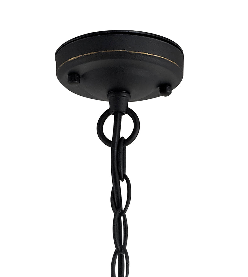 Regal Lighting SL-1988 1 Light Outdoor Ceiling Pendant Black And Gold With Seeded Glass IP54