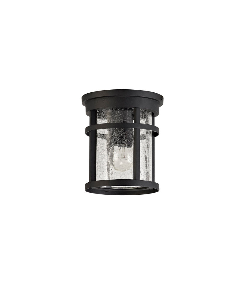 Regal Lighting SL-1983 1 Light Outdoor Flush Ceiling Light Black With Clear Crackle Glass IP54