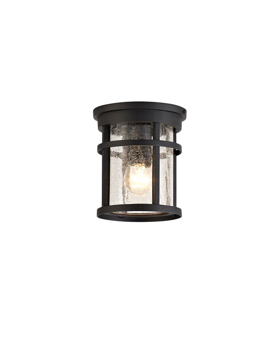 Regal Lighting SL-1983 1 Light Outdoor Flush Ceiling Light Black With Clear Crackle Glass IP54