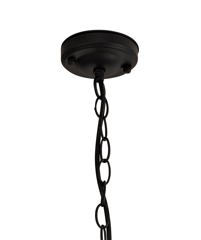 Regal Lighting SL-1836 1 Light Outdoor Ceiling Pendant Black And Gold With Clear Glass IP54