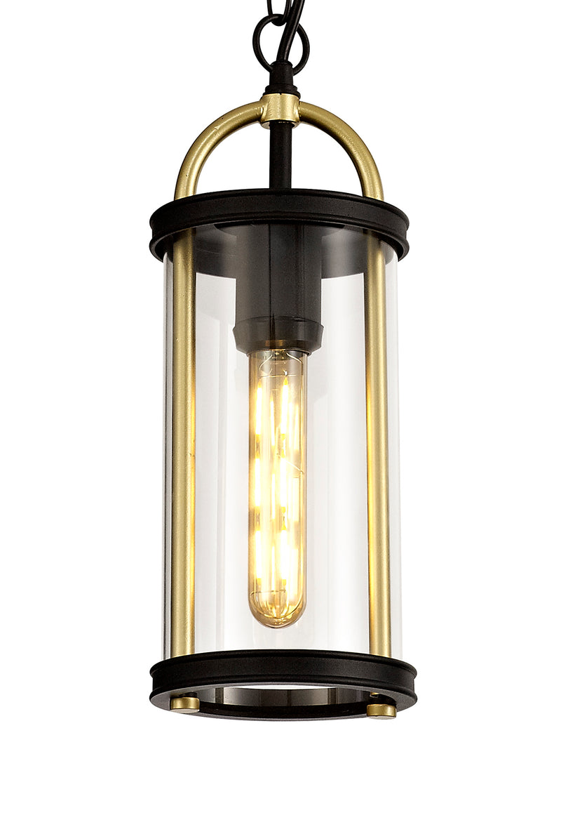 Regal Lighting SL-1836 1 Light Outdoor Ceiling Pendant Black And Gold With Clear Glass IP54