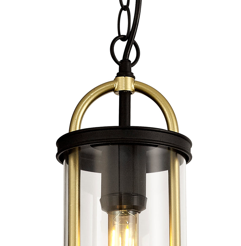 Regal Lighting SL-1836 1 Light Outdoor Ceiling Pendant Black And Gold With Clear Glass IP54