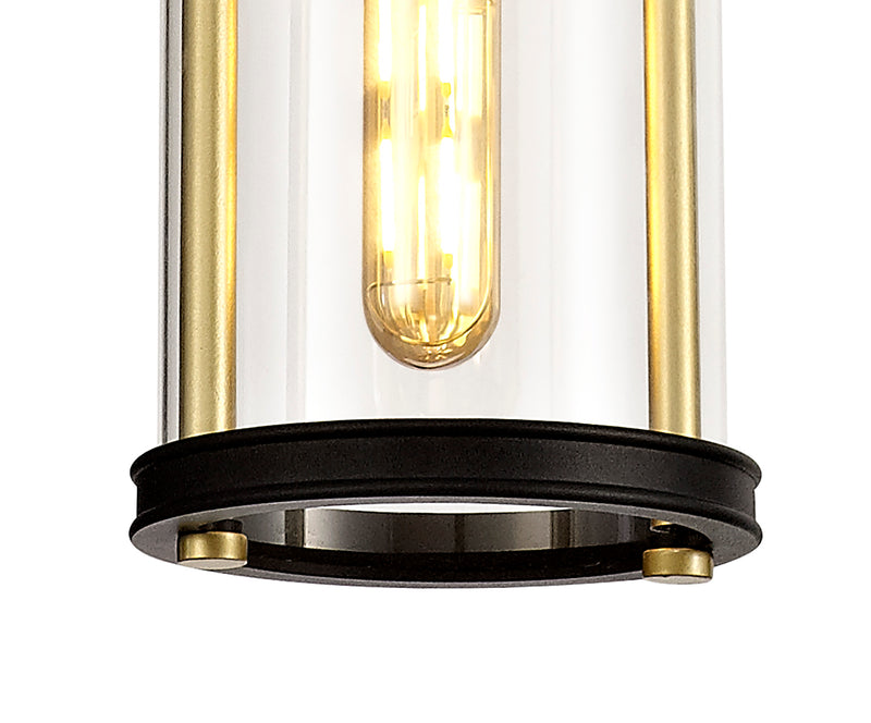 Regal Lighting SL-1836 1 Light Outdoor Ceiling Pendant Black And Gold With Clear Glass IP54