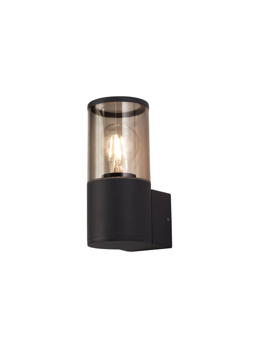 Regal Lighting SL-1688 1 Light Outdoor Wall Light Anthracite With Smoked Diffuser IP54