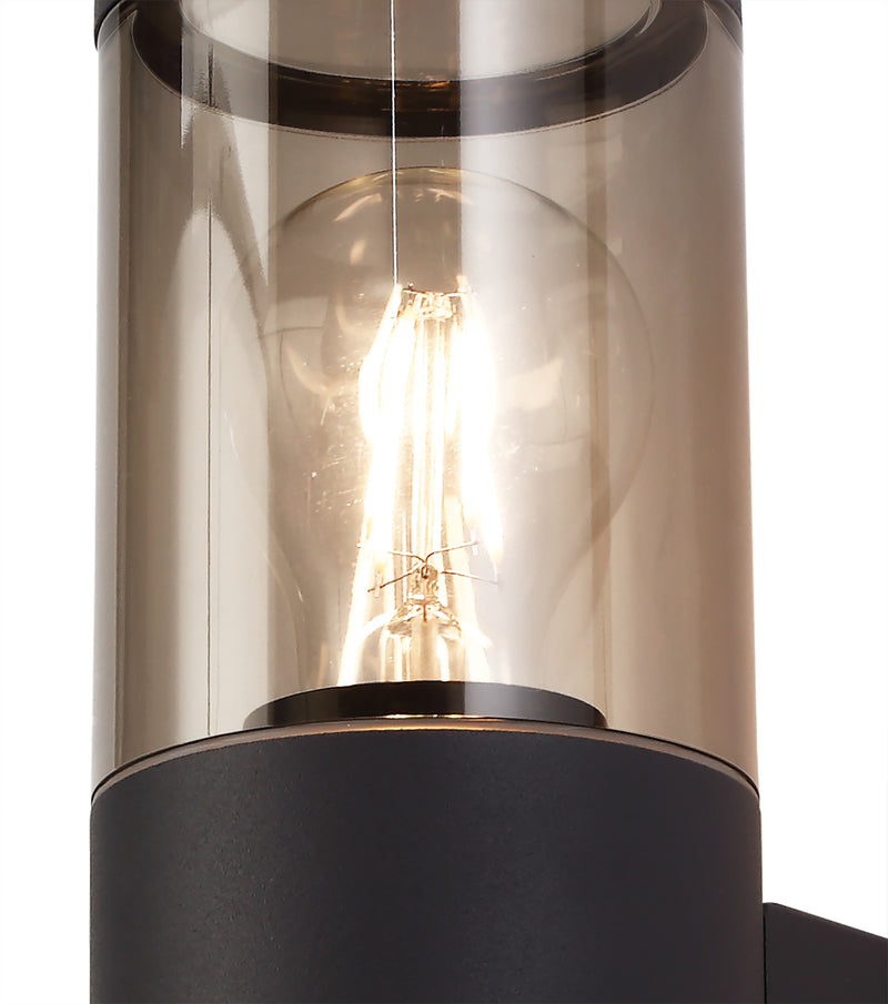 Regal Lighting SL-1685 2 Light Outdoor Wall Light Anthracite With Smoked Glass IP54