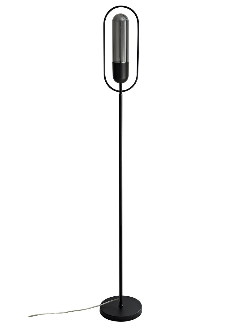 Regal Lighting SL-2185 1 Light LED Floor Lamp Black And Smoked