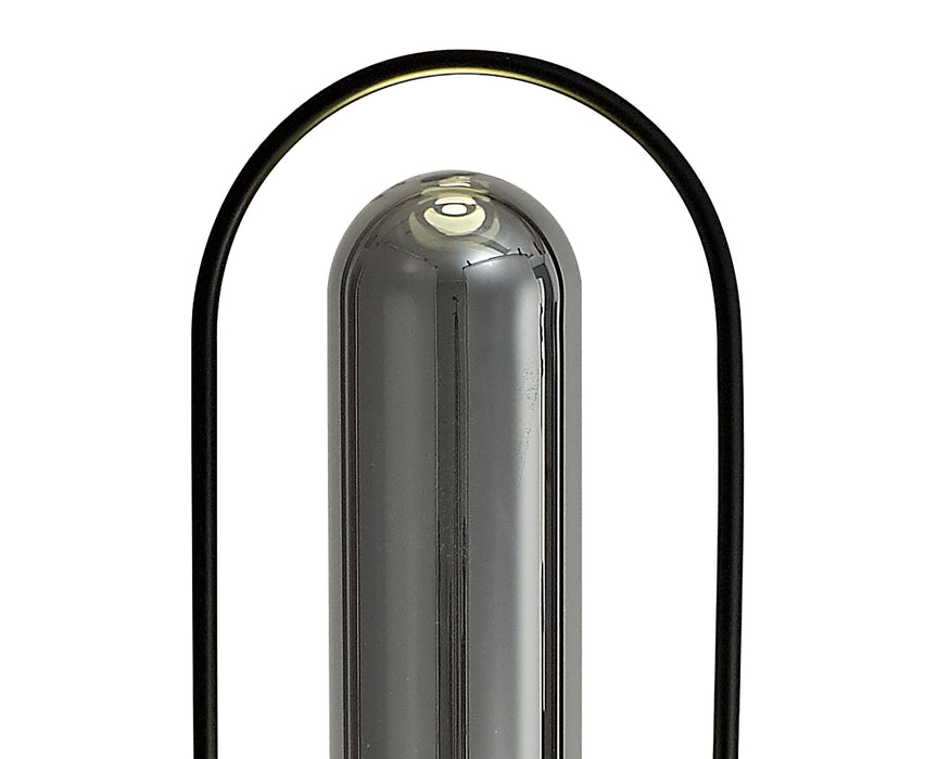 Regal Lighting SL-2185 1 Light LED Floor Lamp Black And Smoked