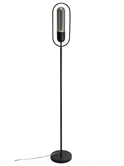 Regal Lighting SL-2185 1 Light LED Floor Lamp Black And Smoked