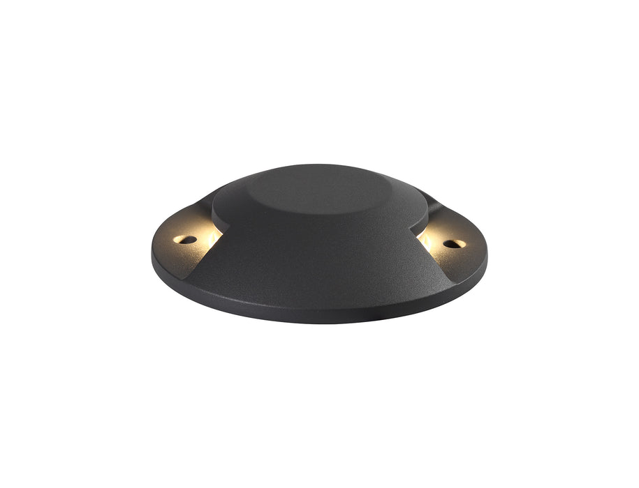 Regal Lighting SL-1631 2 Light LED Driveover Light Anthracite IP67